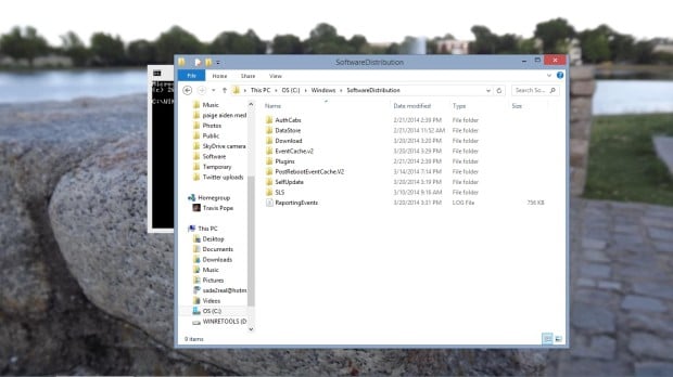 download the new version for windows Disassembly