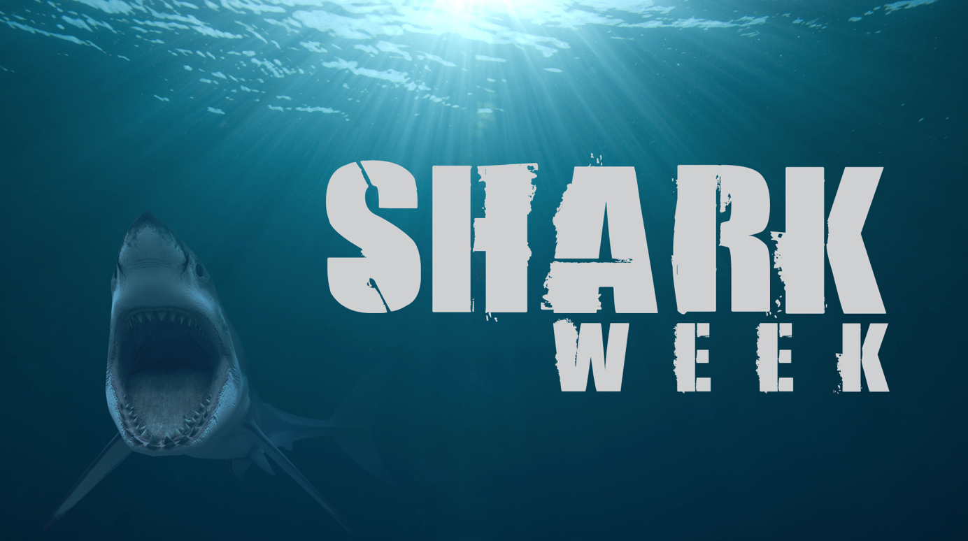 7 Best Shark Week Apps for Fans