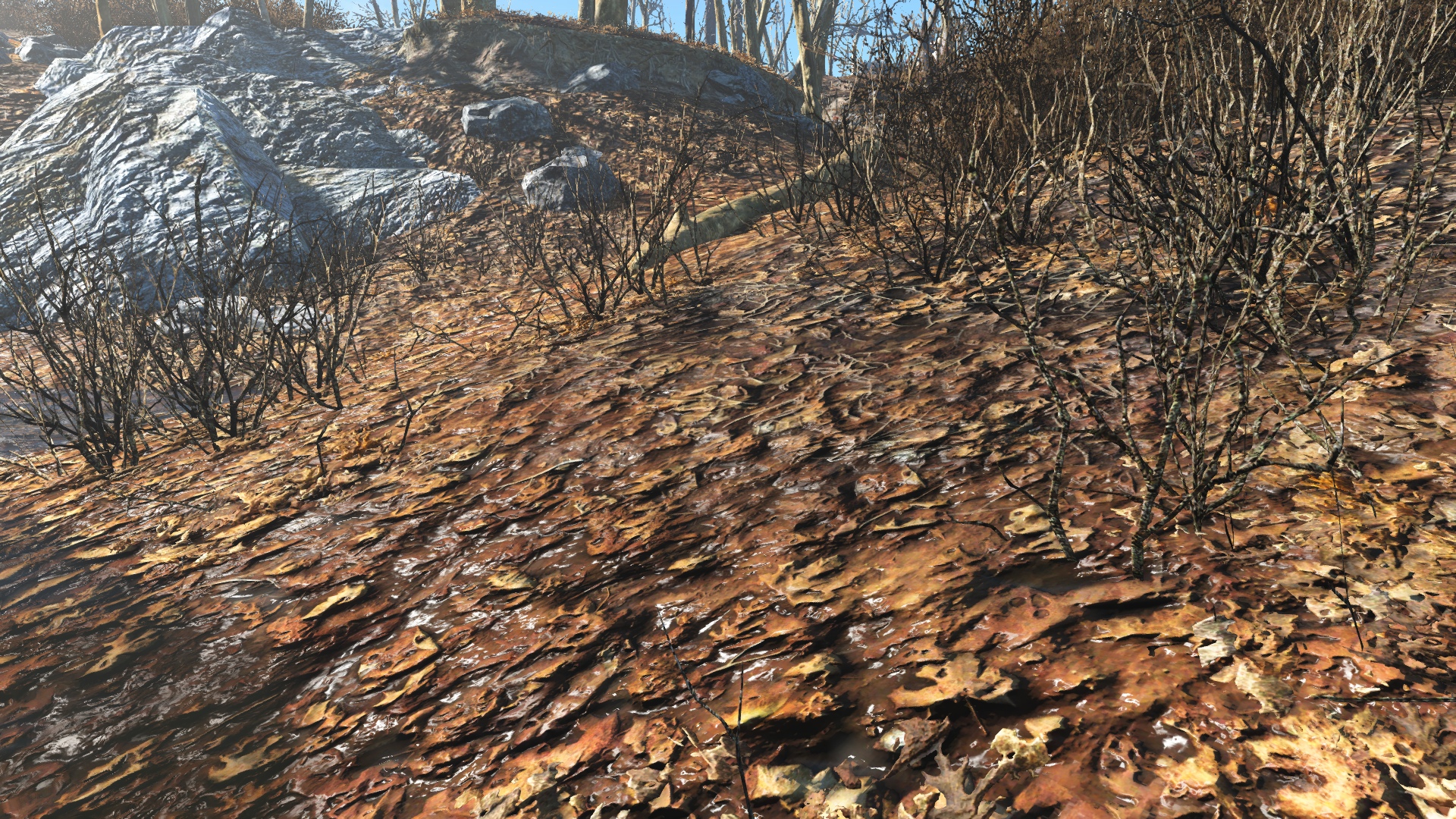 Vivid fallout для fallout 4 фото 40