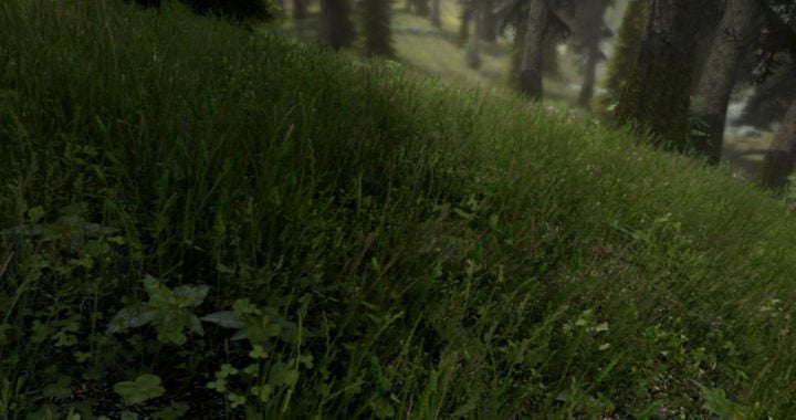 Skyrim-mod-grass